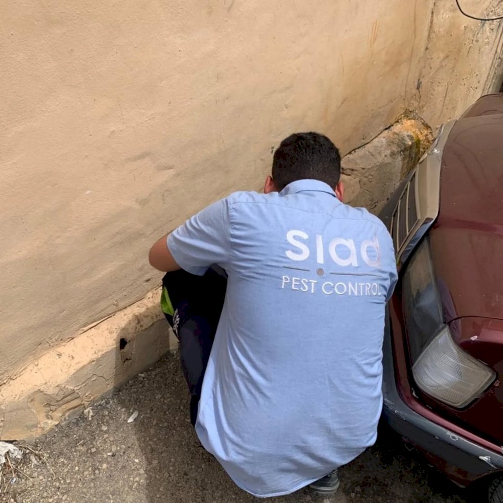 The Health Committee in the Sidon Municipality is following up on its plan to control rodents in 'Old Sidon' and urges citizens to take care of the equipment. Sidon Municipality - Media Office