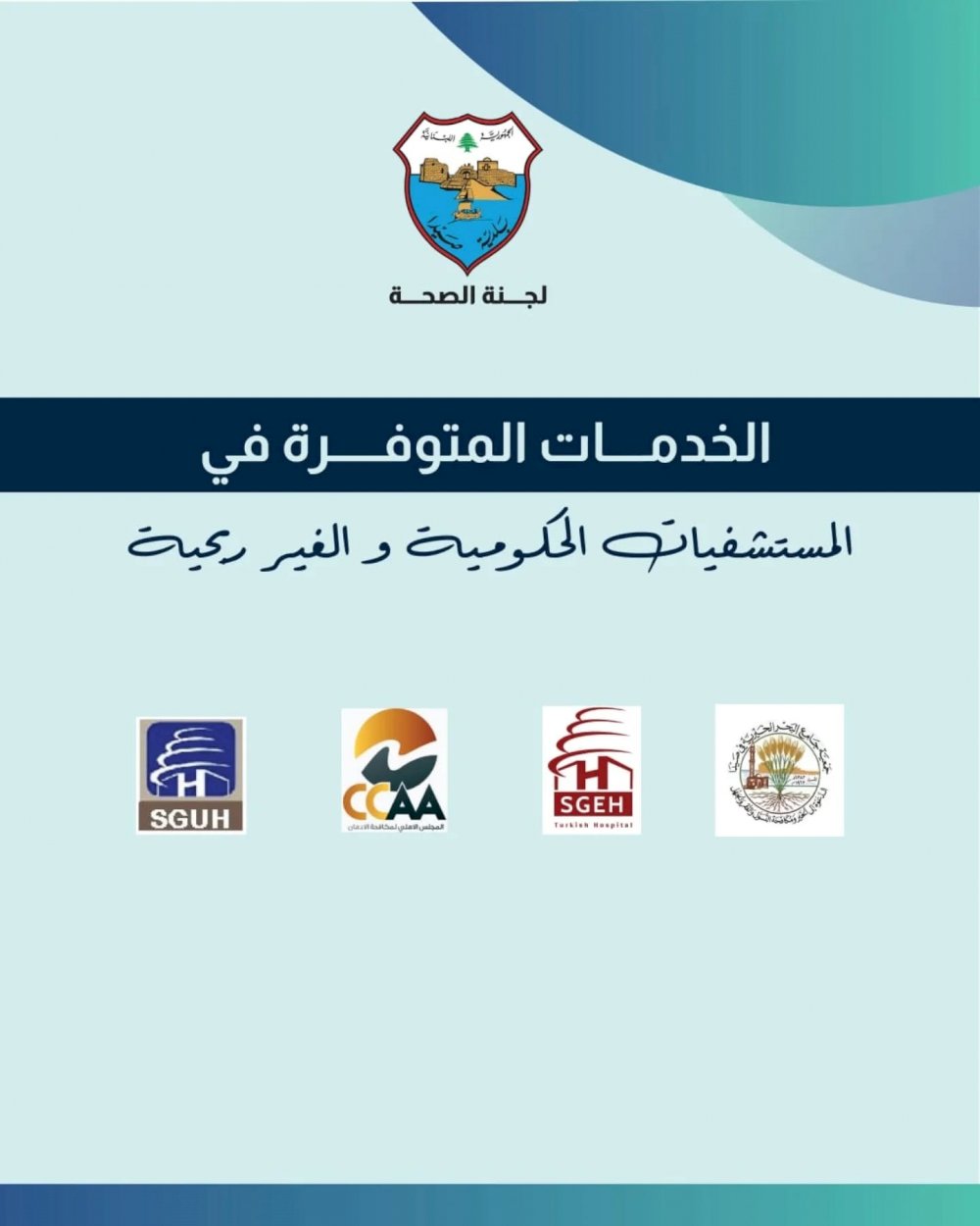 Services available in government hospitals in Sidon